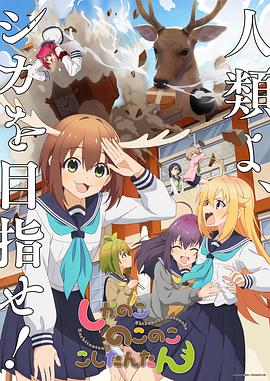 大学新生的秘密生活